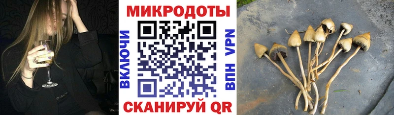 блэк спрут зеркало  Каргополь  Галлюциногенные грибы мухоморы 